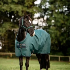 Horseware - Couverture d'extérieur Amigo Ripstop Turnout dynasty green/ marine/ argent 100g