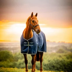 Horseware - Couverture d'extérieur Amigo Ripstop Pony Turnout witney navy 0g