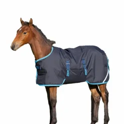 Horseware - Couverture d'extérieur Amigo Foal bleu électrique/ marine 200g