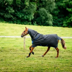 Horseware - Couverture d'extérieur Amigo Ripstop 900 Plus noir/ classic blue 100g