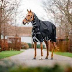 Horseware - Couverture d'extérieur Amigo Bravo Integrated Turnout noir/ titanium grey/ argent 250g