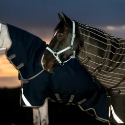 Horseware - Couverture d'extérieur Amigo FieldSafe Plus Turnout marine/ titanium grey/ argent 250g