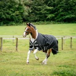 Horseware - Couverture d'extérieur Amigo Turnout noir/ titanium grey/ argent 250g