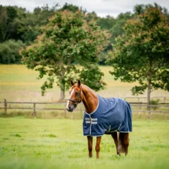 Horseware - Couverture d'extérieur Amigo Ripstop Turnout marine/ titanium grey 200g