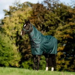 Horseware - Couverture d'extérieur Amigo Ripstop Plus Turnout dynasty green/ marine/ argent 100g