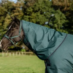 Horseware - Couverture d'extérieur Amigo Ripstop Plus Turnout dynasty green/ marine/ argent 100g