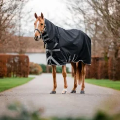 Horseware - Couverture d'extérieur Amigo Bravo Integrated Turnout noir/ titanium grey/ argent 50g