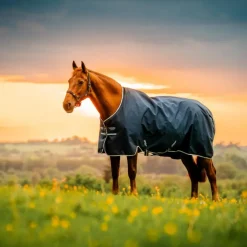 Horseware - Couverture d'extérieur Amigo Ripstop Pony Turnout witney navy 50g