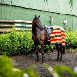 Horseware - Couverture polaire Newmarket witney gold