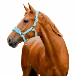 Horseware - Licol de pansage Signature Grooming blue haze