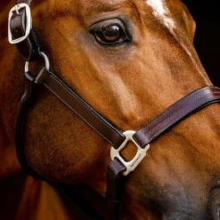 Horseware - Licol en cuir Signature marron