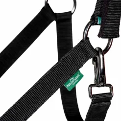 Horseware - Licol et longe Newmarket witney gold