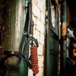 Horseware - Licol et longe Newmarket witney gold