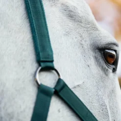Horseware - Licol et longe dynasty green