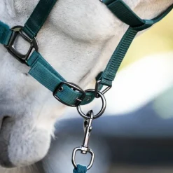 Horseware - Licol et longe dynasty green