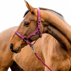 Horseware - Licol et longe Amigo mulberry