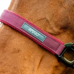 Horseware - Licol et longe Amigo mulberry