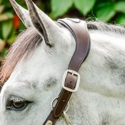 Horseware - Licol pour chevaux Signature Tressé marron/ marine/ hunter green