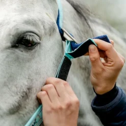 Horseware - Licol spécial pâturage Field Safe blue haze