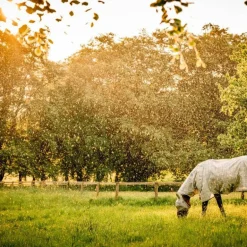 Horseware - Masque anti-mouches Newmarket witney charcoal