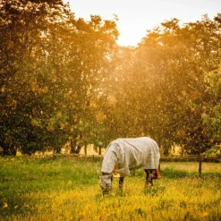 Horseware - Masque anti-mouches Newmarket witney charcoal