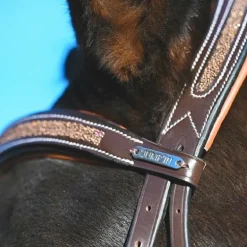 Jump'In - Bridon Carat collection One premium havane