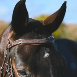 Jump'In - Bridon Carat collection One premium havane