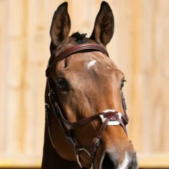 Jump'In - Bridon muserolle croisée Evolution noisette