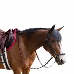 Jump'In - Bridon muserolle allemande Evolution havane