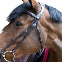 Jump'In - Bridon muserolle allemande Evolution havane