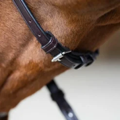 Jump'In - Bridon muserolle croisée Evolution havane