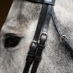 Jump'In - Bridon muserolle combinée Evolution noir