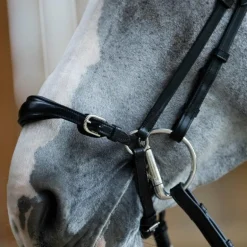 Jump'In - Bridon muserolle allemande Evolution noir