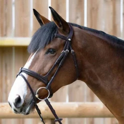 Jump'In - Bridon muserolle combinée Evolution havane