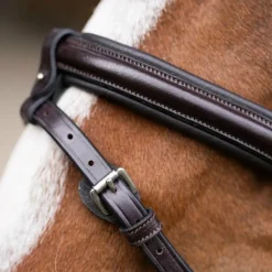 Jump'In - Bridon muserolle combinée Evolution havane