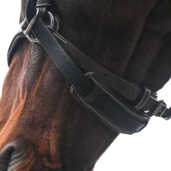 Jump'In - Bridon One bitless noisette