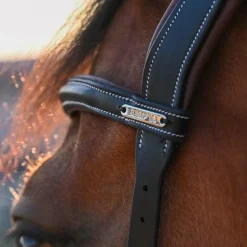 Jump'In - Bridon One liberty noir/ acajou