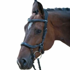Jump'in - Bridon One Manhattan noir avec rênes