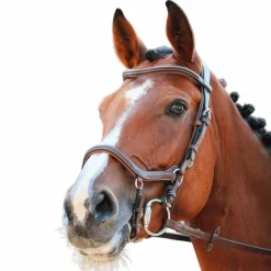 Jump'In - Bridon One New York avec rênes noisette