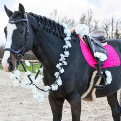 Jump'In - Bridon One New York avec rênes noir