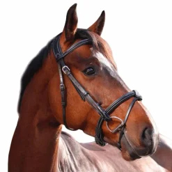 Jump'In - Bridon One Paris avec rênes Noir
