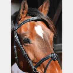 Jump'In - Bridon One Paris avec rênes Noir
