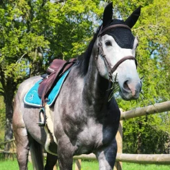 Jump'In - Bridon One Paris avec rênes Noisette