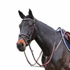 Jump'In - Bridon One Premium Clincher havane