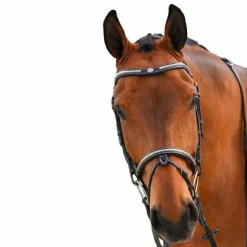 Jump'In - Bridon One Premium Clincher noir