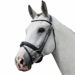 Jump'In - Bridon Week Friday avec rênes