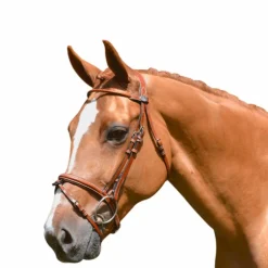 Jump'In - Bridon Week Monday avec rênes