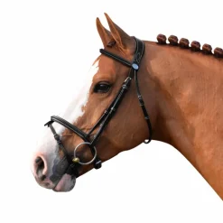 Jump'In - Bridon Week Tuesday avec rênes