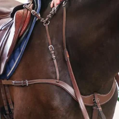 Jump'In - Collier de chasse 5 points + martingale One Noisette