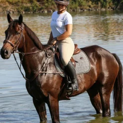 Jump'In - Collier de chasse 5 points + martingale One Noisette